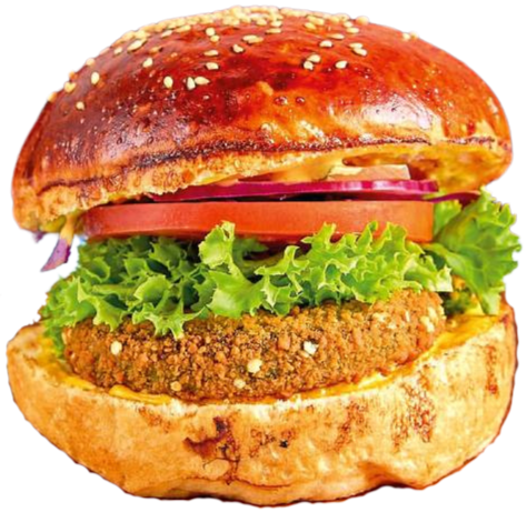 Quinoa Burger Quinoa Burger